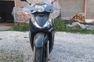 SH 300