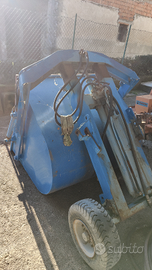 Benna caricatrice uva