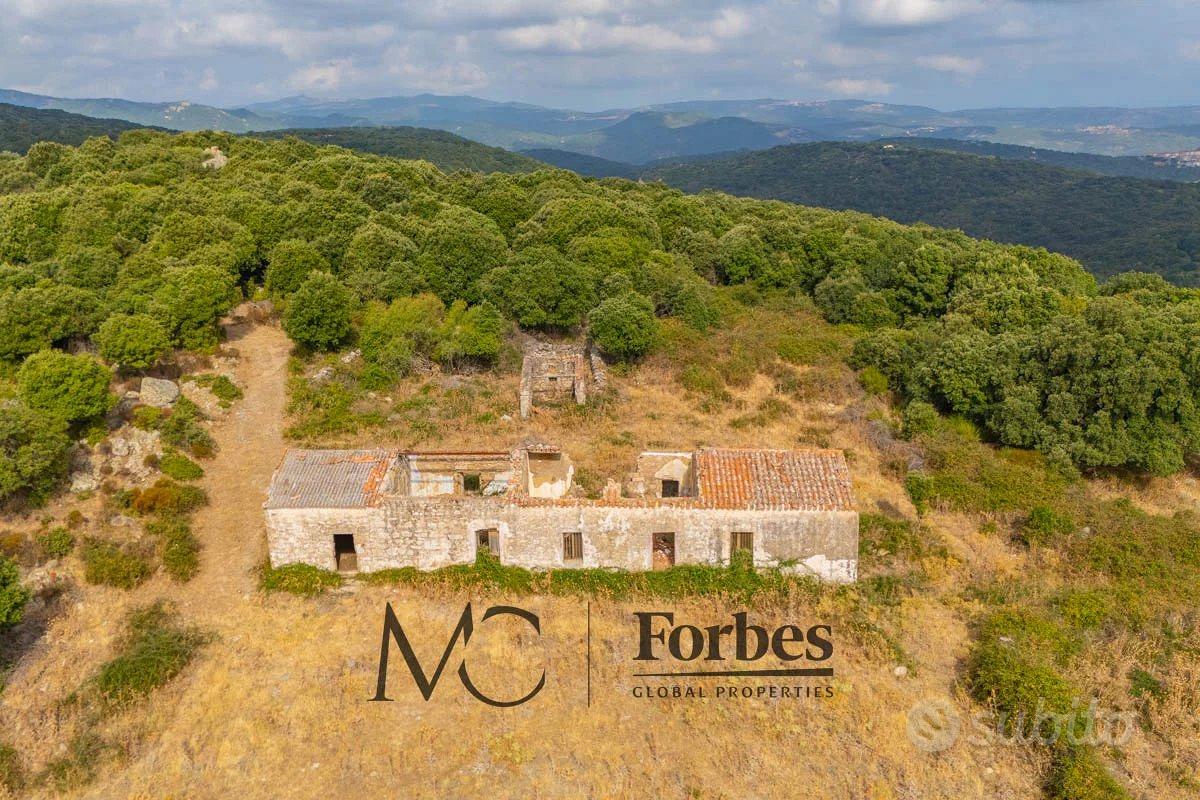 Luogosanto - Terreno di 41 ettari con stazzo gallu - Vista 2