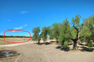 Terreno adiacente centrale enel