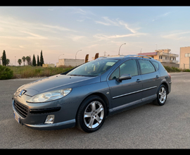 Peugeout 407 s.w