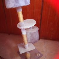 gioco per gatti