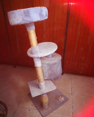 gioco per gatti