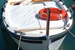 Barca Gozzo  Cinqueterre 4.80 + motore Mercury 9.9