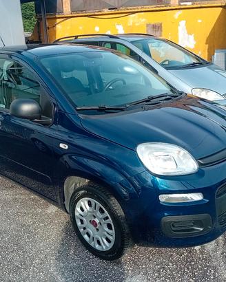 Fiat Panda 1.2 69 cv GPL EasyPower 2018