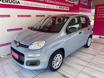 FIAT Panda 3ª serie Panda 1.2 EasyPower