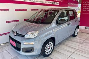 FIAT Panda 3ª serie Panda 1.2 EasyPower