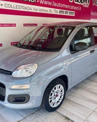 FIAT Panda 3ª serie Panda 1.2 EasyPower