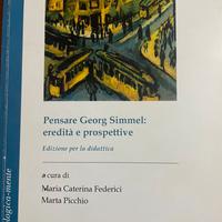 Pensare Georg Simmel: eredità e prospettive