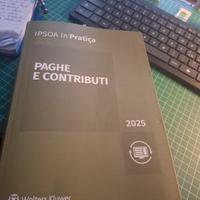 PAGHE E CONTRIBUTI IPSOA 2025