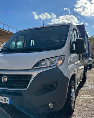 FIAT DUCATI DOPPIA CABINA 7 Posti CASSONE CON CENT