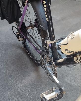 bici MTB