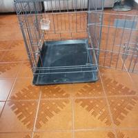 Trasportino Farm Company