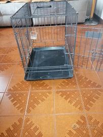 Trasportino Farm Company