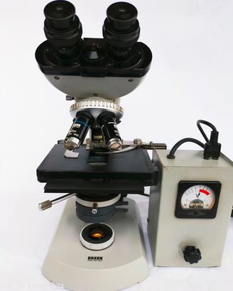 microscopio Zeiss standard 