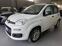 fiat-panda-1-2-lounge