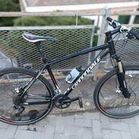 Bicicletta mtb Cannondale Trail SL taglia L