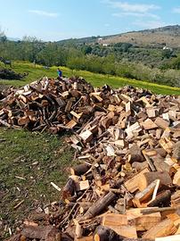 legna da ardere secca 