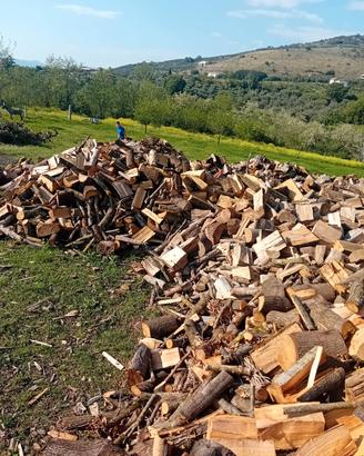 legna da ardere secca 