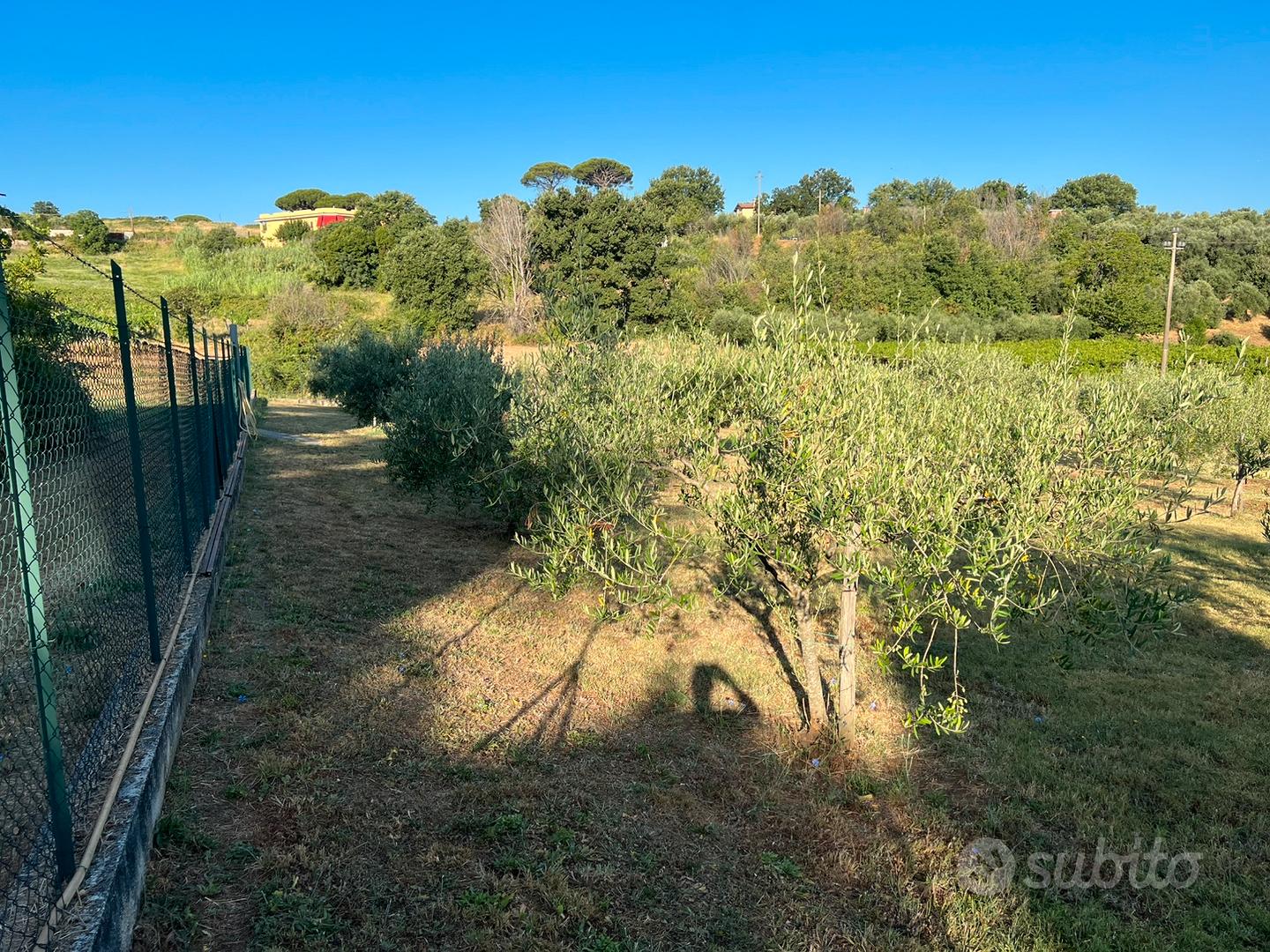 Terreno agricolo - View 3