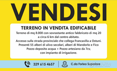 Vendita terreno