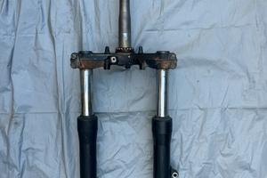 Forcella sh 300