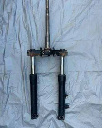 Forcella sh 300
