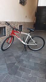 Bicicletta Schiano