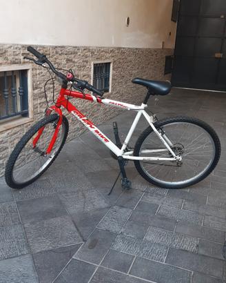 Bicicletta Schiano