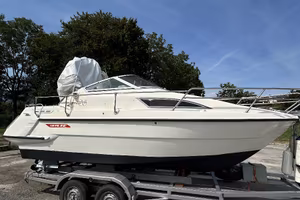 Sealine 200 cabinato,  motore e piedi revisionati