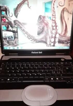 Computer portatile notebook Easynote B3222 Packard