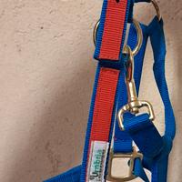 Set capezza e briglie per cavalli