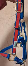 Set capezza e briglie per cavalli