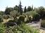 Immagine 17