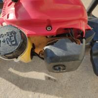 TAGLIA SIEPE A MOTORE