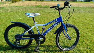 bicicletta 20 pollici