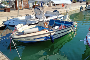 Barca 5 metri motore Johnson 40 CV guidabile senza