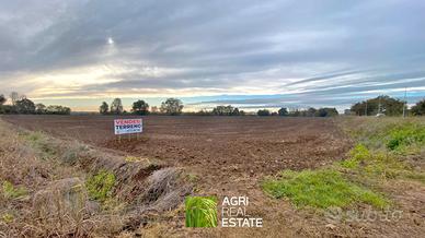 Terreno agricolo pianeggiante 5,5 ettari | TR474