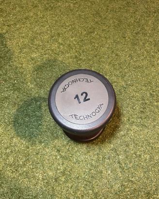 Coppia Bumbbell Technogym 12 kg