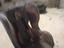 Immagine 1