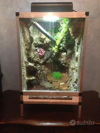 Terrario naturalistico