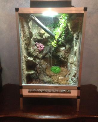 Terrario naturalistico