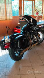 Harley Davidson sporster 1200 low
