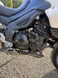 TRIUMPH Tiger 1050 .