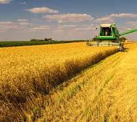 Terreno per foto/agrivoltaico