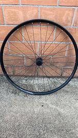 Cerchio anteriore 29 ALEXRIMS 15x110 Boost disco