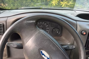 Ford wag transit