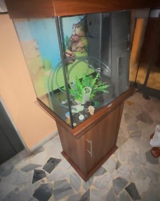 Acquario jewel