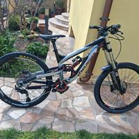  YT industries downhill .