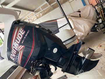 Evinrude Ho 150cv